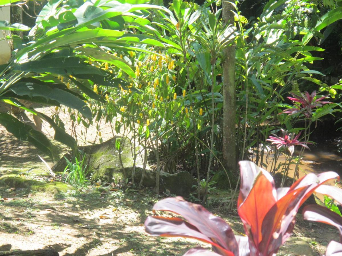 Janela Dos Meus Sonhos Villa Penedo  Ngoại thất bức ảnh